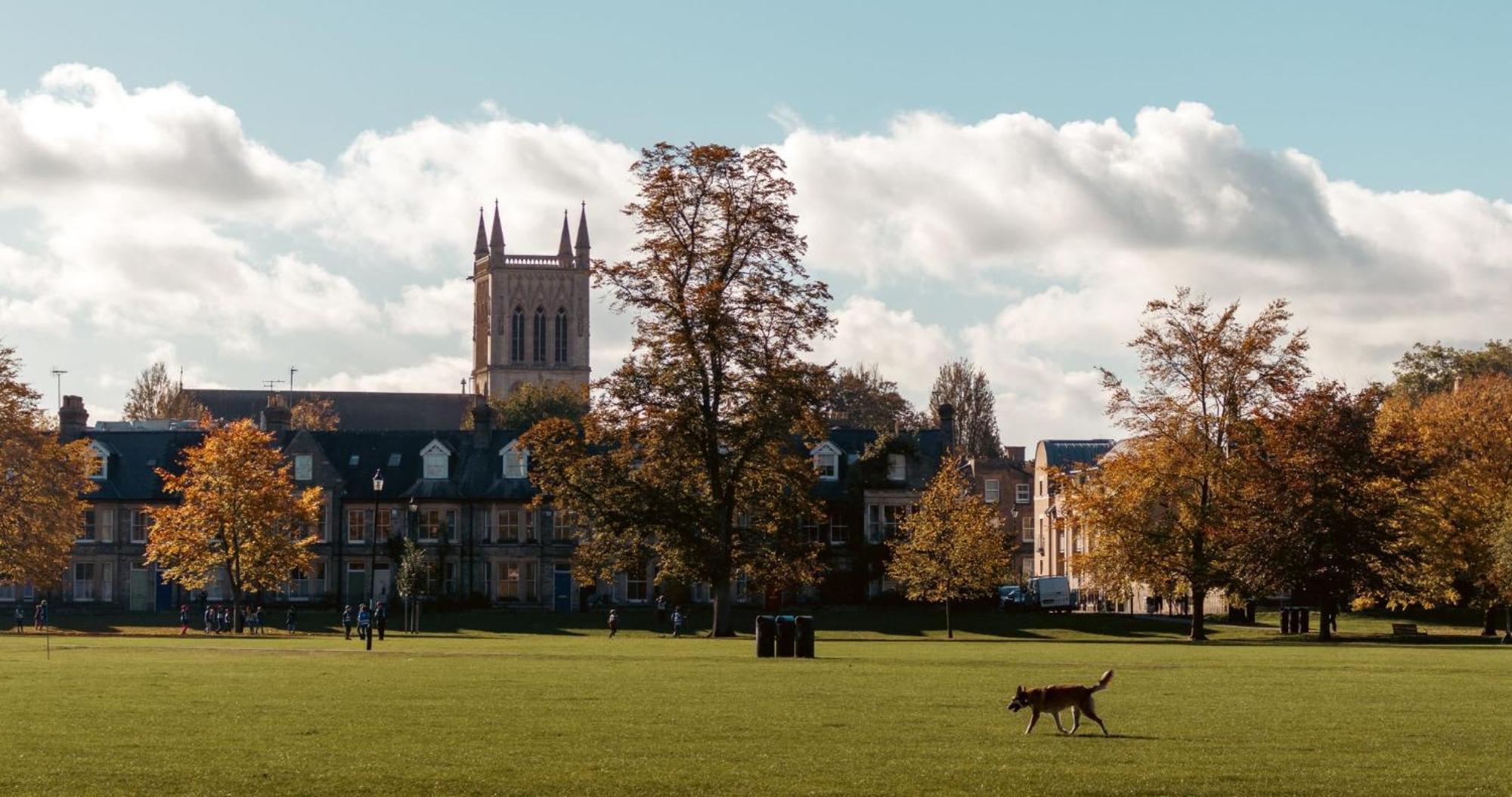 Cambridge Stays - Apartment At Addenbrooke Hospital And Bio Campus - Free Private Parking エクステリア 写真